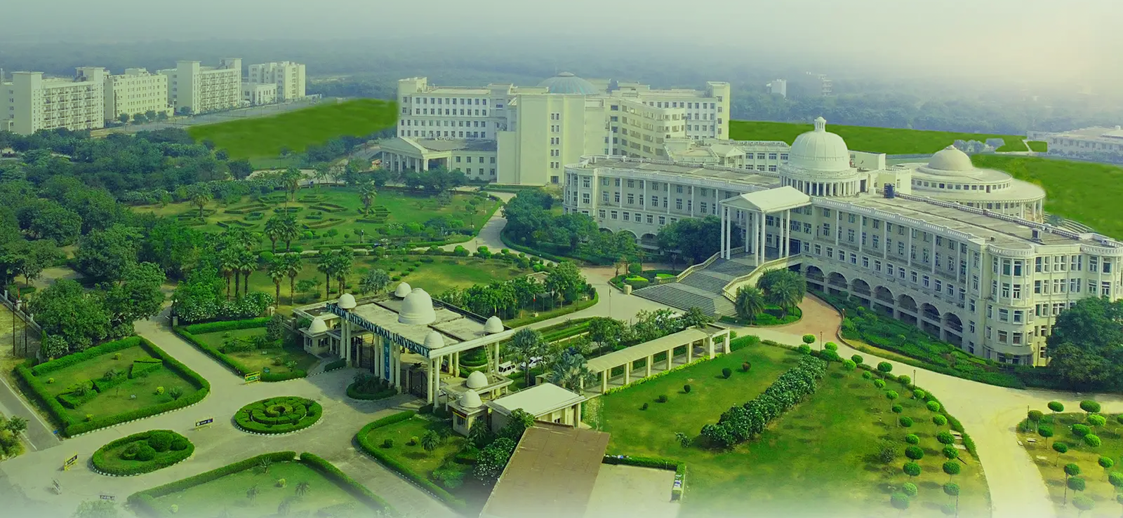 niu-banner