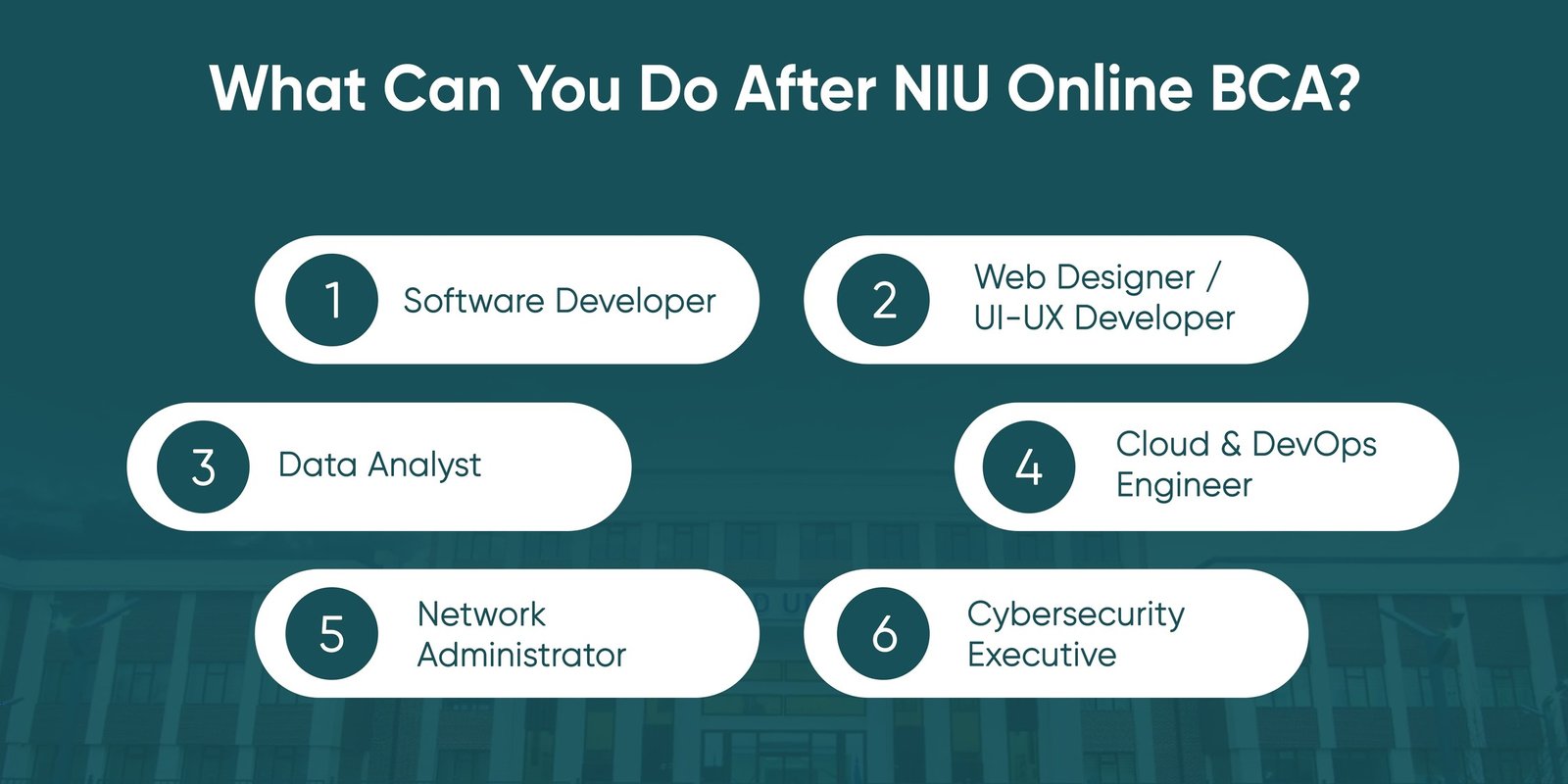 What Can You Do After NIU Online BCA?